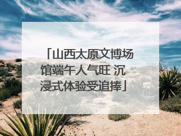 山西太原文博场馆端午人气旺 沉浸式体验受追捧