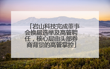 岩山科技完成董事会换届选举及高管聘任，核心层由头部券商背景的高管掌控