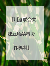 川渝联合共建五项禁毒协作机制