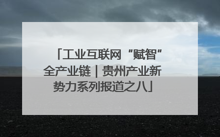 工业互联网“赋智”全产业链｜贵州产业新势力系列报道之八