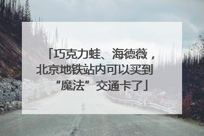 巧克力蛙、海德薇，北京地铁站内可以买到“魔法”交通卡了