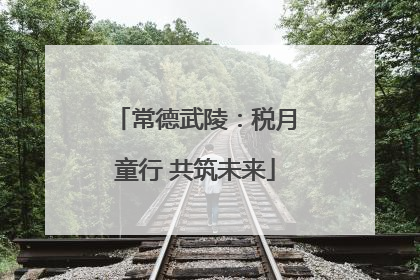 常德武陵：税月童行 共筑未来