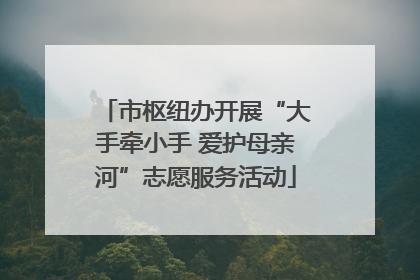 市枢纽办开展“大手牵小手 爱护母亲河”志愿服务活动