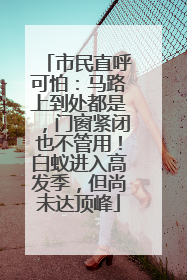 市民直呼可怕：马路上到处都是，门窗紧闭也不管用！白蚁进入高发季，但尚未达顶峰