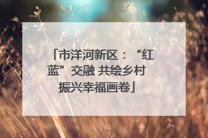 市洋河新区：“红蓝”交融 共绘乡村振兴幸福画卷