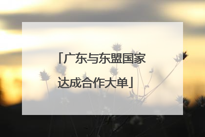 广东与东盟国家达成合作大单