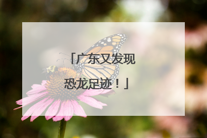 广东又发现恐龙足迹！