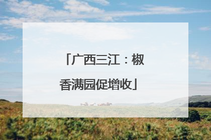 广西三江：椒香满园促增收