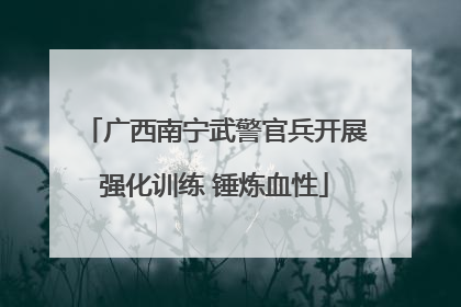 广西南宁武警官兵开展强化训练 锤炼血性