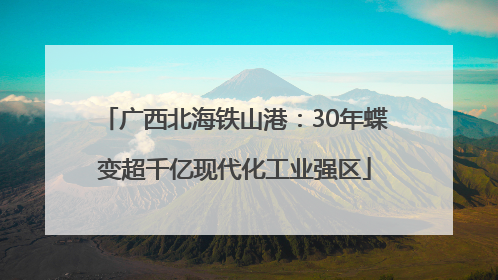 广西北海铁山港：30年蝶变超千亿现代化工业强区