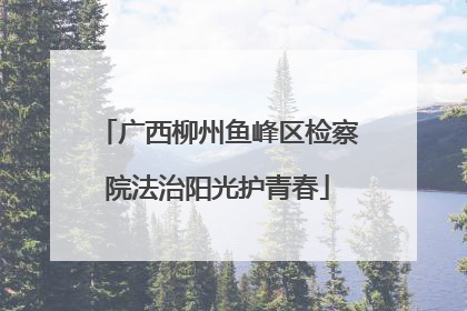 广西柳州鱼峰区检察院法治阳光护青春