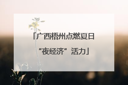 广西梧州点燃夏日“夜经济”活力