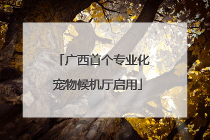 广西首个专业化宠物候机厅启用