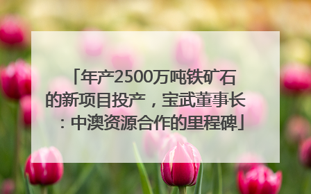 年产2500万吨铁矿石的新项目投产，宝武董事长：中澳资源合作的里程碑