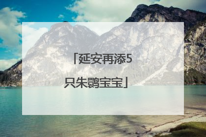 延安再添5只朱鹮宝宝