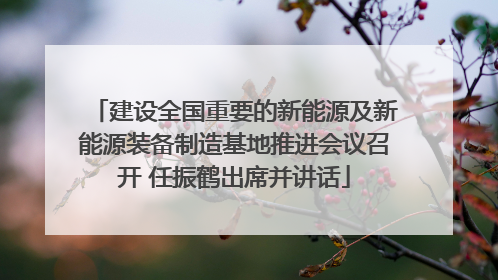 建设全国重要的新能源及新能源装备制造基地推进会议召开 任振鹤出席并讲话