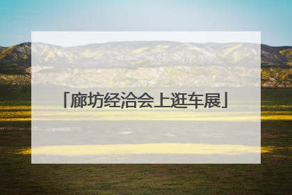 廊坊经洽会上逛车展