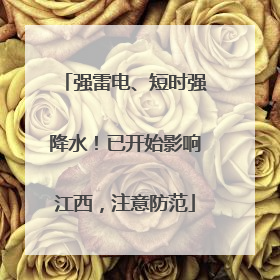 强雷电、短时强降水！已开始影响江西，注意防范