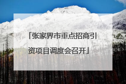 张家界市重点招商引资项目调度会召开