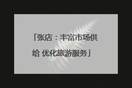 张店：丰富市场供给 优化旅游服务