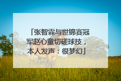 张智霖与世锦赛冠军赵心童切磋球技，本人发声：很梦幻
