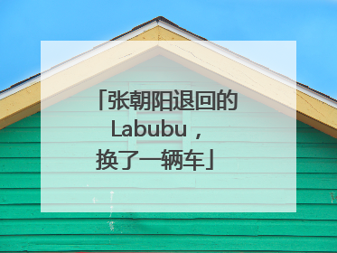 张朝阳退回的Labubu，换了一辆车