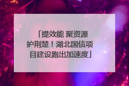 提效能 聚资源 护荆楚！湖北国债项目建设跑出加速度