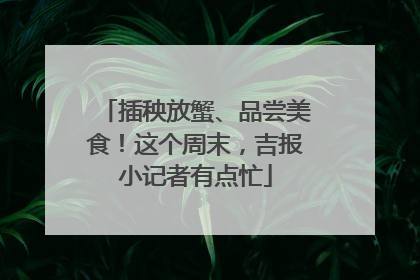 插秧放蟹、品尝美食！这个周末，吉报小记者有点忙
