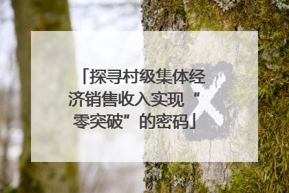 探寻村级集体经济销售收入实现“零突破”的密码