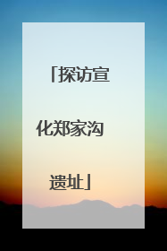 探访宣化郑家沟遗址