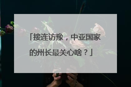 接连访豫，中亚国家的州长最关心啥？