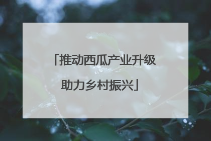 推动西瓜产业升级 助力乡村振兴