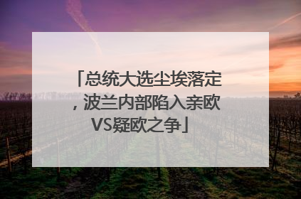 总统大选尘埃落定，波兰内部陷入亲欧VS疑欧之争