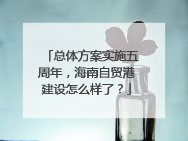 总体方案实施五周年，海南自贸港建设怎么样了？