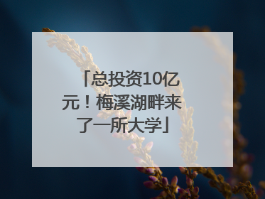 总投资10亿元！梅溪湖畔来了一所大学