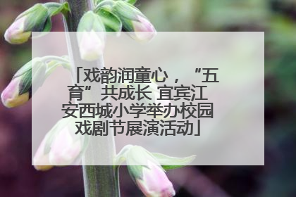 戏韵润童心，“五育”共成长 宜宾江安西城小学举办校园戏剧节展演活动