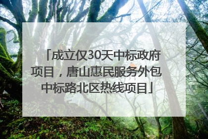 成立仅30天中标政府项目，唐山惠民服务外包中标路北区热线项目