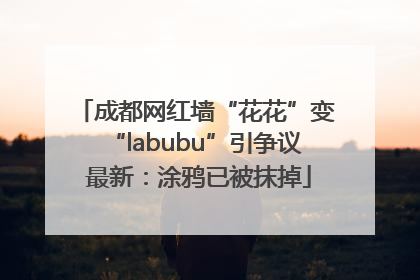 成都网红墙“花花”变“labubu”引争议 最新：涂鸦已被抹掉