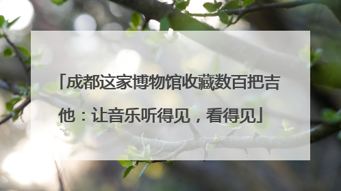 成都这家博物馆收藏数百把吉他：让音乐听得见，看得见