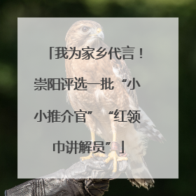我为家乡代言！崇阳评选一批“小小推介官”“红领巾讲解员”
