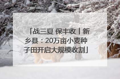 战三夏 保丰收丨新乡县：20万亩小麦种子田开启大规模收割