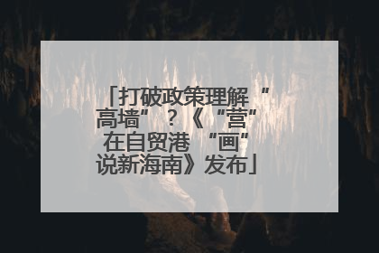 打破政策理解“高墙”？《“营”在自贸港 “画”说新海南》发布