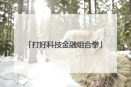 打好科技金融组合拳