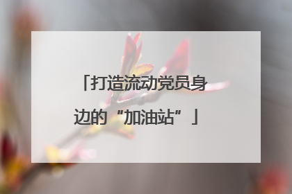 打造流动党员身边的“加油站”