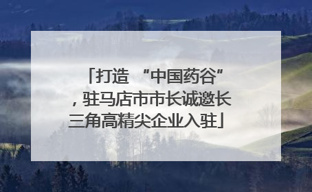 打造 “中国药谷”，驻马店市市长诚邀长三角高精尖企业入驻
