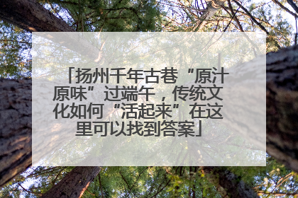 扬州千年古巷“原汁原味”过端午，传统文化如何“活起来”在这里可以找到答案