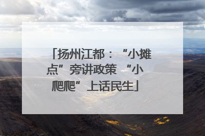 扬州江都：“小摊点”旁讲政策 “小爬爬”上话民生