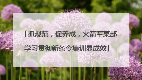 抓规范，促养成，火箭军某部学习贯彻新条令集训显成效
