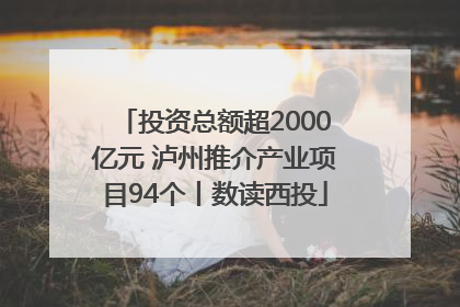 投资总额超2000亿元 泸州推介产业项目94个丨数读西投