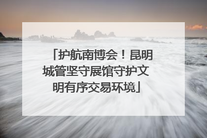 护航南博会！昆明城管坚守展馆守护文明有序交易环境